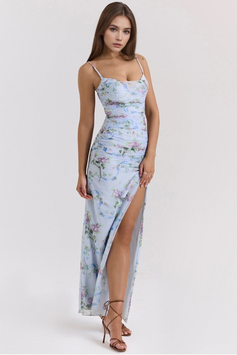 Blue Floral Print Mesh Maxi Dress