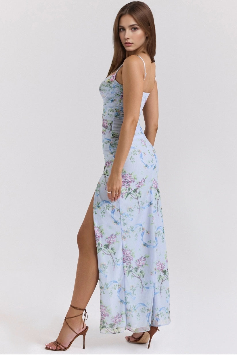 Blue Floral Print Mesh Maxi Dress